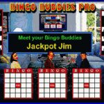 Bingo Buddies Pro