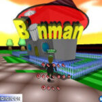 Binman