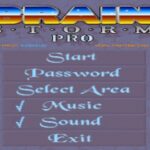 BrainStorm Pro