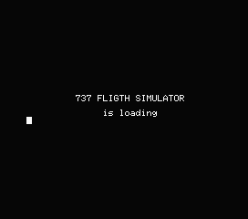 737 Flight Simulator