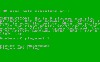 9-Hole Miniature Golf