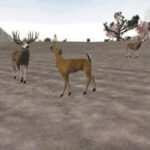 Buckmasters Deer Hunting