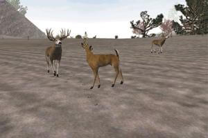 Buckmasters Deer Hunting