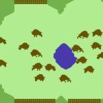 Buffalo Round Up