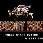 Buggy Run