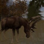 Cabela’s Big Game Hunter 2004