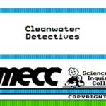 Cleanwater Detectives