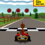 Crazy Chicken: Kart Extra