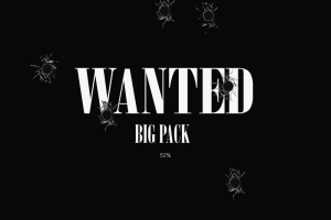 Crazy Chicken: Wanted