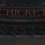 Cricket 96