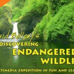 David Bellamy’s Endangered Wildlife