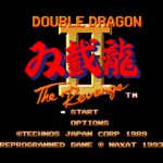 Double Dragon II: The Revenge