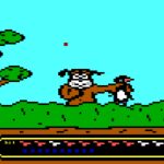 Duck Hunt
