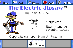 Electric Jigsaw