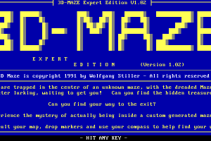 Expert Puzzles & Mazes