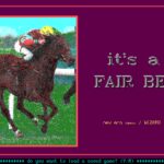 Fair Bet