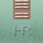 Final Stretch: Horse Racing Sim