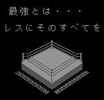 Fire Pro Wrestling