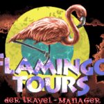 Flamingo Tours