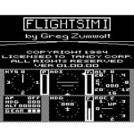 FlightSim I