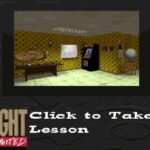 Flight Unlimited