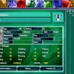 Football World Manager 2000