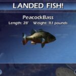Hunter Dan’s Bowfishing Survival Gauntlet