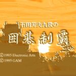 Ishida Yoshio Kudan no Igo Seiha