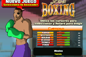 K.O. Boxing