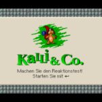 Kalli & Co.