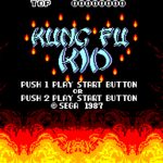Kung Fu Kid