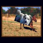 Le CD-ROM des Hippojeux