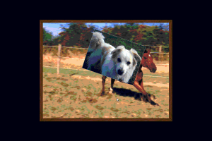 Le CD-ROM des Hippojeux