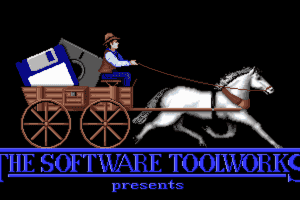 Life & Death II: The Brain