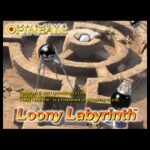 Loony Labyrinth