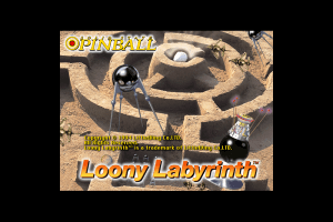 Loony Labyrinth