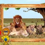 Louis The Lion