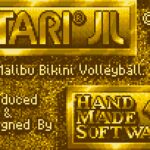 Malibu Bikini Volleyball