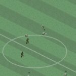 Manchester United: The Double