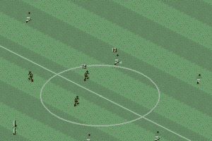 Manchester United: The Double