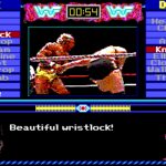 Micro League Wrestling 2