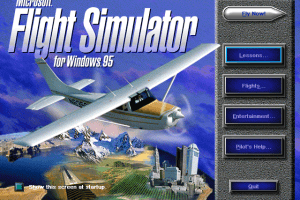 Microsoft Flight Simulator for Windows 95