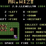 Mr. Wiz