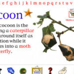 My First Incredible, Amazing Dictionary 2.0