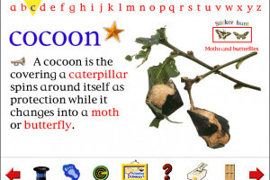 My First Incredible, Amazing Dictionary 2.0