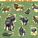 Animals of Africa II