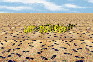 Ant Run Pro
