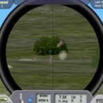 NRA Varmint Hunter