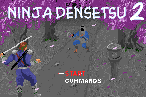 Ninja Densetsu 2