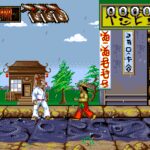 Ninja Rabbits